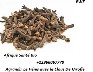 033- Clou de Girofle : Utilisation de Clou de Girofle Pour Agrandir Le Pénis