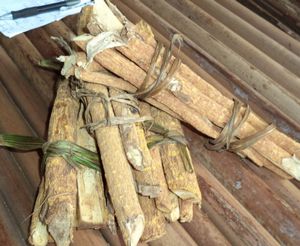 Traitement neuropathie périphérique