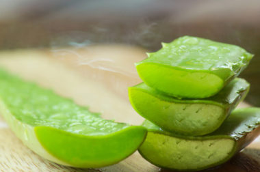 021-Aloe Vera: Plante Miracle Pour Tomber Enceinte Naturellement