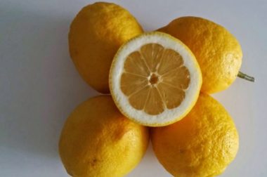 056- SIDA : Jus de Citron Aide Précieuse Pour Booster l&rsquo;Immunité Naturelle