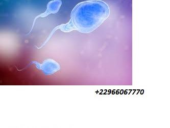 052- L’Aspermie : Qu’est-ce que l’éjaculation sans sperme ?