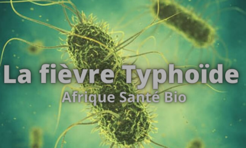 Traiter la Fièvre Typhoïde Naturellement