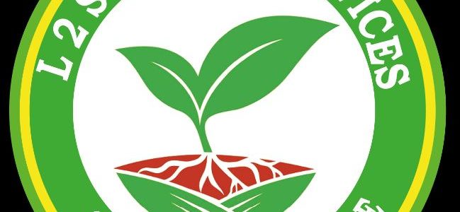 Mon Hémorroïde a Disparu: Comment éliminer Hémorroïdes Naturellement?