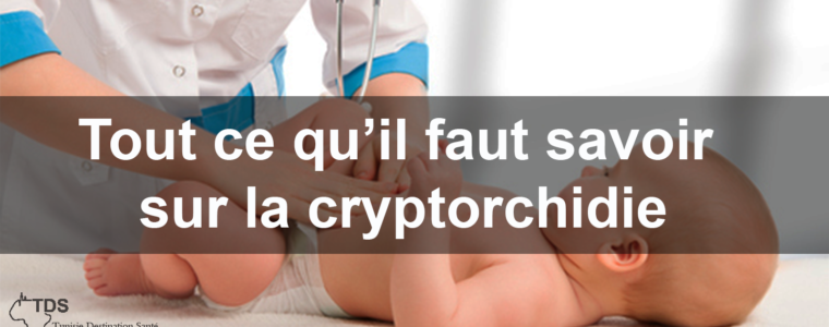 Quels sont les Traitements Conseils Préventions pour la Cryptorchidie?