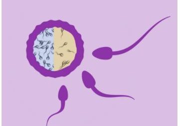 560- L&rsquo;Hypospermie : Remèdes Naturel à base des Plantes