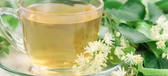 Comment Nettoyer son Foie? Voici les Plantes Pour Nettoyer le Foie