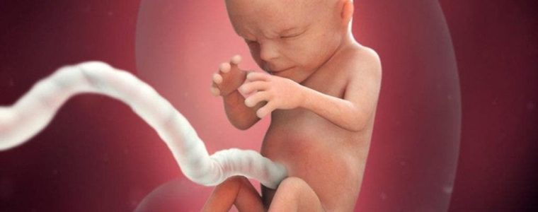 Comment Tomber Enceinte en 1 semaine? Devenir maman Devenir mère