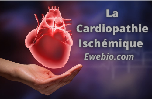 La Solution pour Soigner La cardiopathie ischémique
