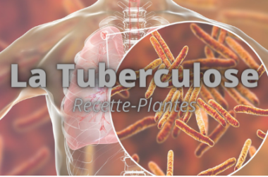 266-Remède Naturelle pour Traiter la Tuberculose: Symptômes et Prévention