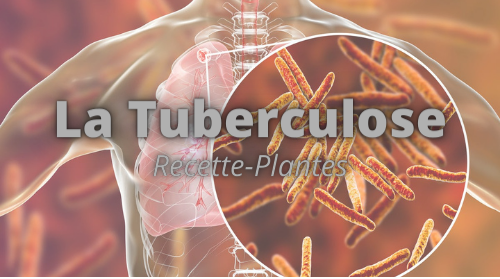 Remède Naturelle pour Traiter la Tuberculose