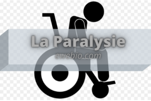 Comment Traiter Efficacement la Paralysie?