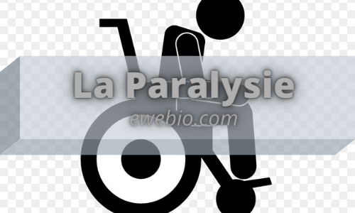 Comment Traiter Efficacement la Paralysie?