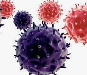 288- Myélome Multiple Définition Traitement Naturel Myélome Multiple