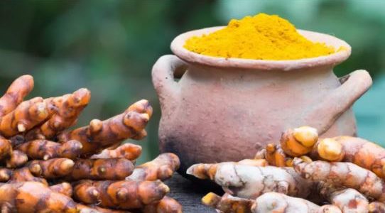 Curcuma Pour Homme: Le Curcuma Pourrait Agrandir le Pénis