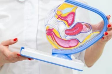 305-Positions de l&rsquo;Utérus : Utérus Antéversé et Utérus Rétroversé