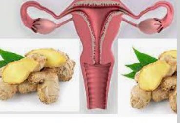 342-Trompes Bouchées Causes Traitement Naturel Trompes Bouchées