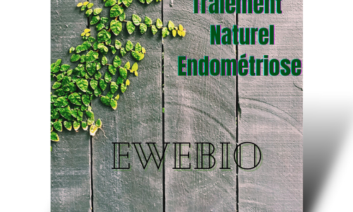 Comment soigner naturellement L'Endométriose? 