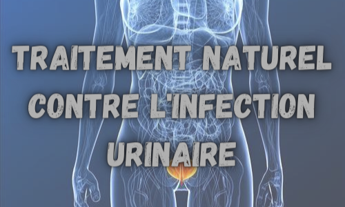 Meilleurs Moyens pour Soigner l'Infection Urinaire