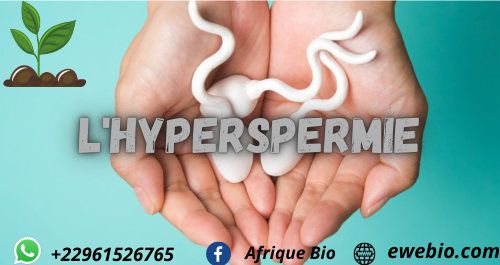 Traitement Naturel de L'hyperspermie en France