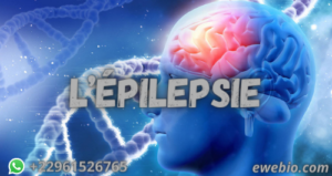 Conseils et Manifestations de L’épilepsie