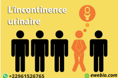 568- L’incontinence urinaire : Manifestations et ce qu’il faut retenir pour traiter la maladie