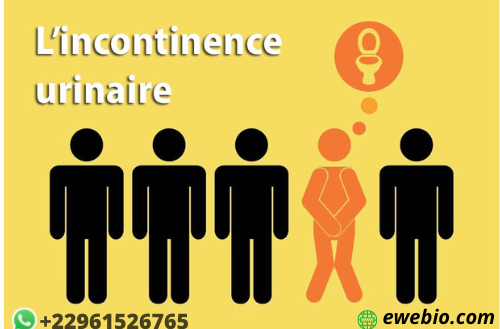568- L’incontinence urinaire : Manifestations et ce qu’il faut retenir pour traiter la maladie